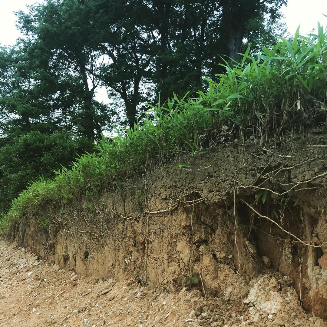 小さい崖みつけた #名古屋市千種区 #平和公園